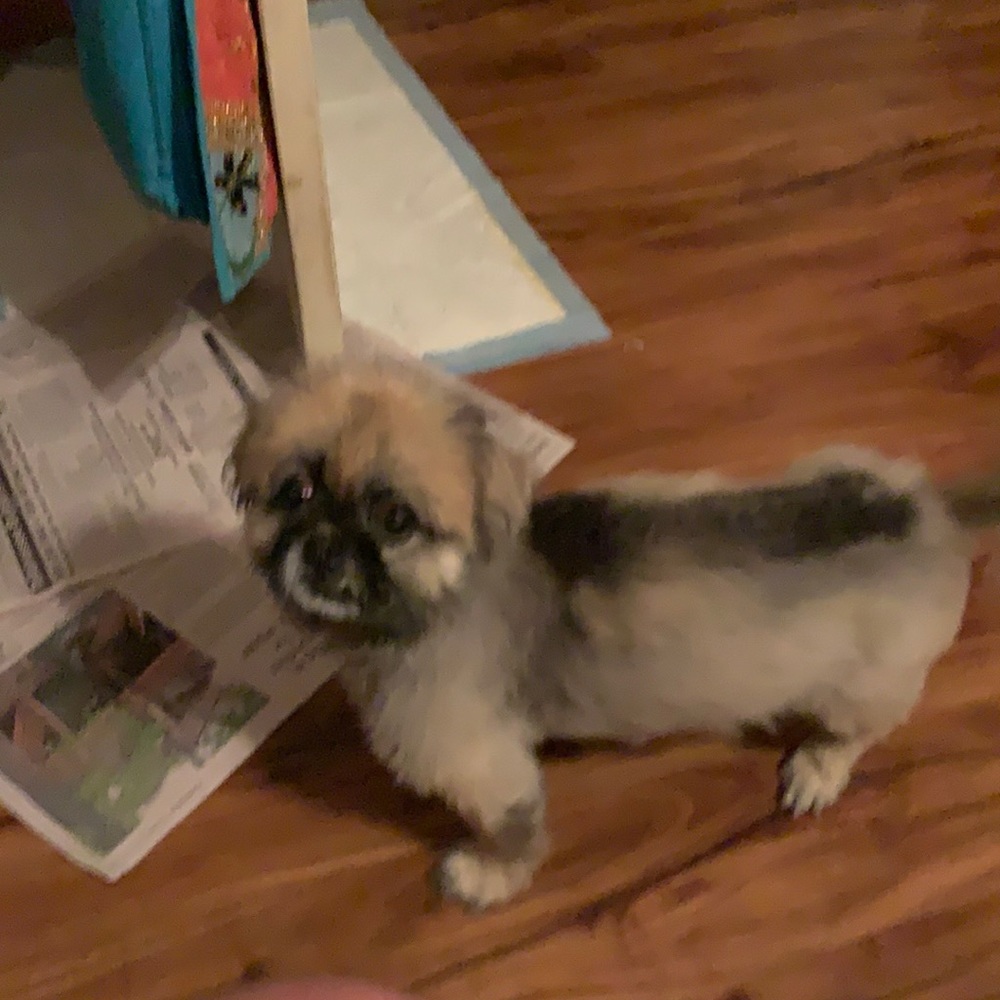 Meet your Posher, Jack